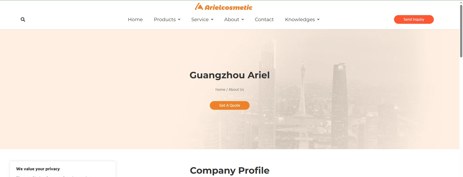 Website page of Guangzhou Ariel featuring company profile information with an orange-themed design and navigation menu.